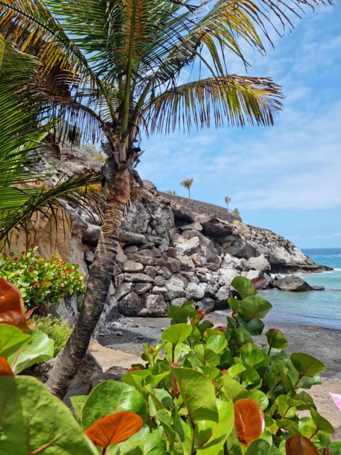 Stunning Studio With A Sea View And Pool, Paraiso Del Sur 1309 アデヘ エクステリア 写真